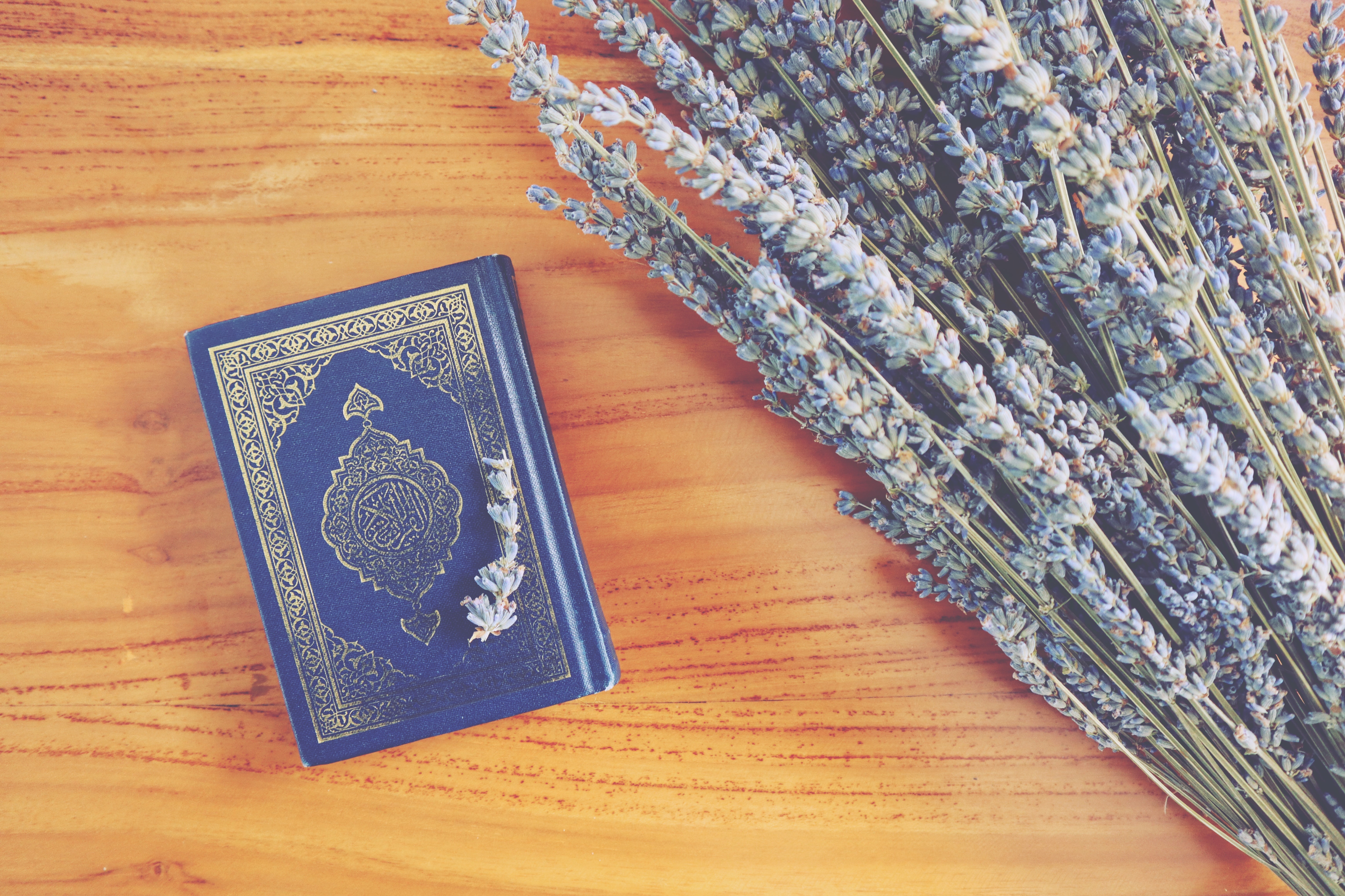 Keutamaan Membaca Alquran di Bulan Ramadan
