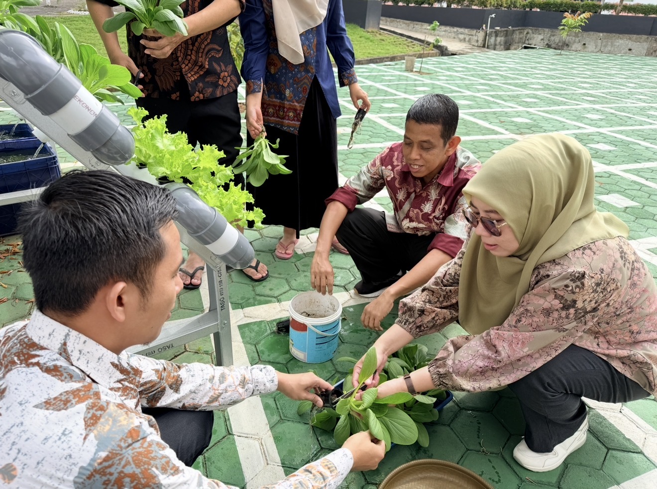 Harmoni Ekoteologi, Bersih-Bersih Taman dan Panen Pakcoy Menjelang Ramadhan 1447 H